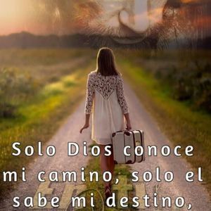 Meet your Posher, Patty